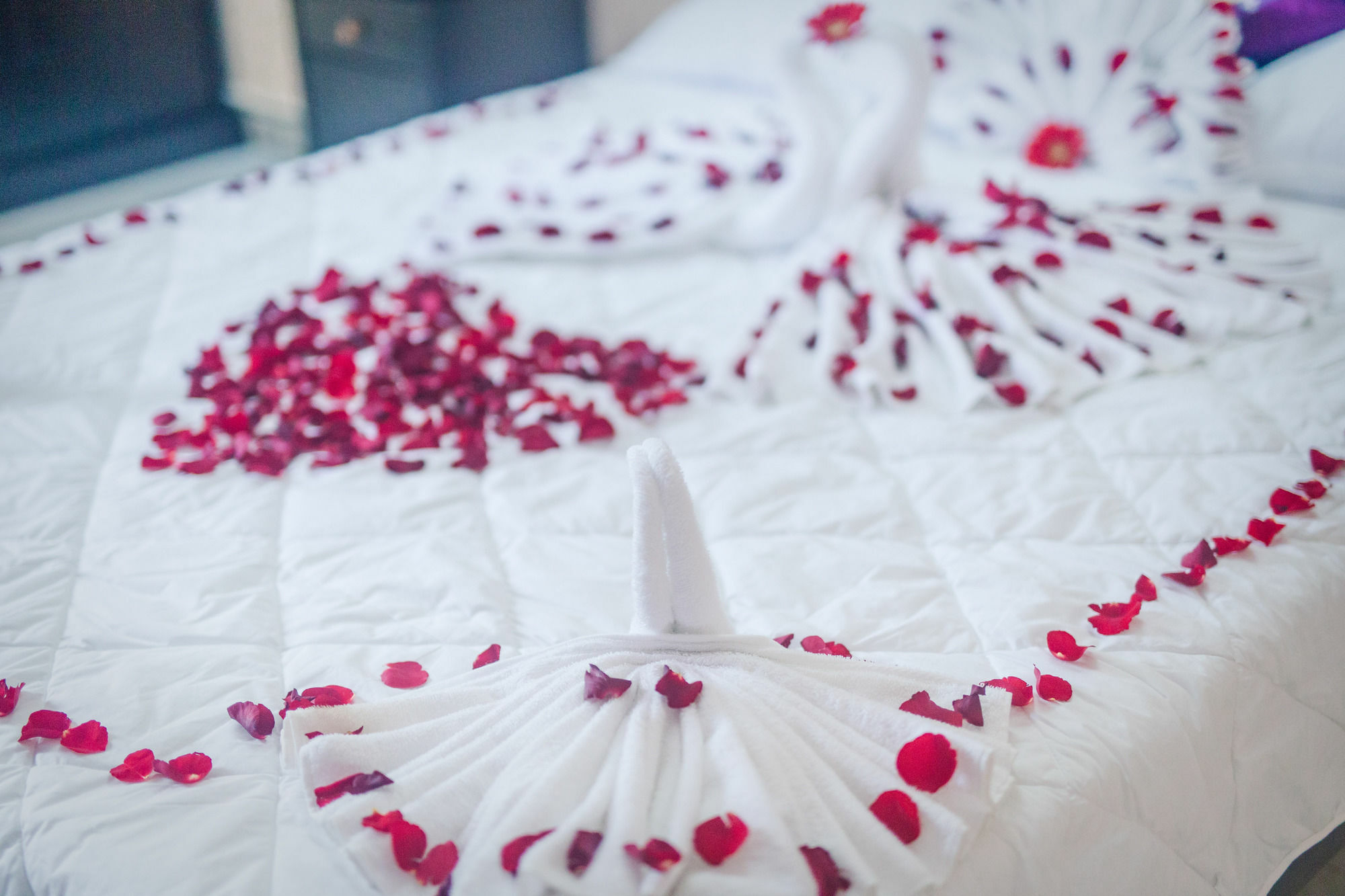 Oyo 117 Gina Hotel Da Nang Zewnętrze zdjęcie