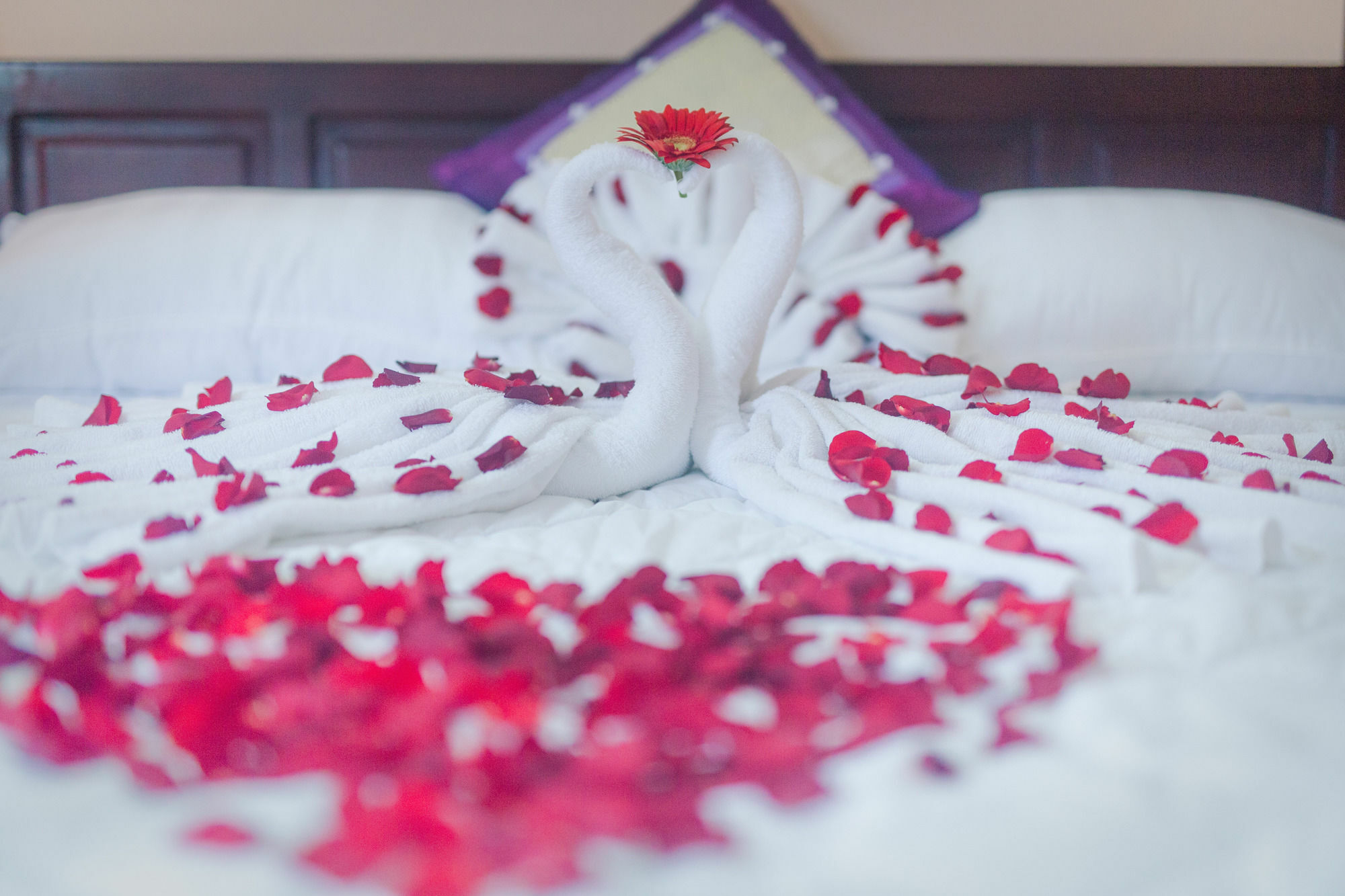 Oyo 117 Gina Hotel Da Nang Zewnętrze zdjęcie