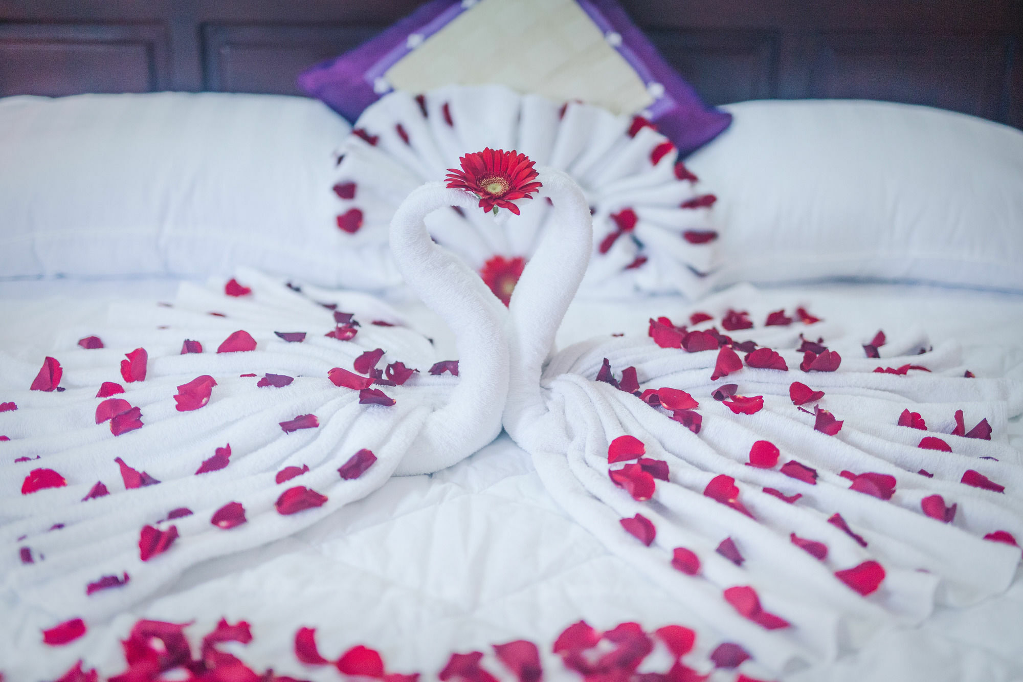 Oyo 117 Gina Hotel Da Nang Zewnętrze zdjęcie